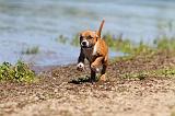 STAFFIE 205